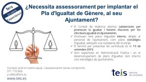 Subvencions per promoure la igualtat als ajuntaments