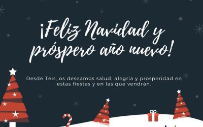 ¡El equipo de TEIS os desea FELIZ NAVIDAD 2020!