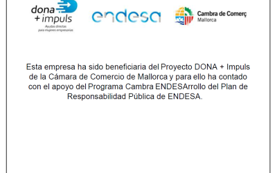 Proyecto Dona + Impuls