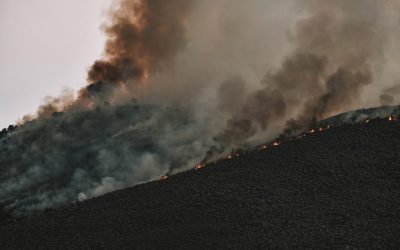 La responsabilidad de los recursos humanos en épocas de crisis