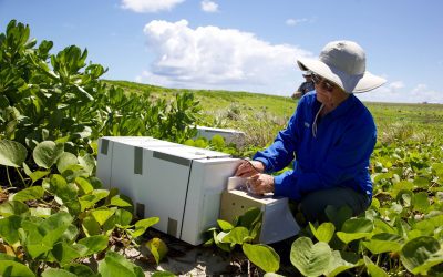 El papel de la mujer en el ámbito rural